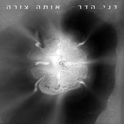 אותה צורה